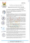 Vista preliminar de documento RA-389-2024-MPHH