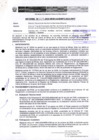 Vista preliminar de documento RD_329_2009_MEM_AAM