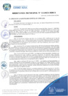 Vista preliminar de documento ORDENANZA MUNICIPAL N°15-2024-MDCA