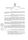 Vista preliminar de documento RD N° 0014 2019 SEGUNDA MODIFICATORIA PAC