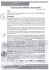 Vista preliminar de documento rgm-338