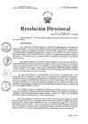 Vista preliminar de documento RD N°304-2024-HNCH-DG