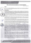 Vista preliminar de documento rgm-339