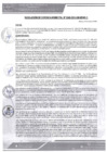 Vista preliminar de documento rgm-340