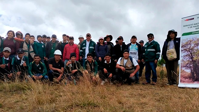 piura sfn