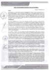 Vista preliminar de documento rgm-341