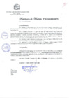 Vista preliminar de documento RA_015-2009-MPV