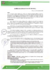 Vista preliminar de documento ac-091