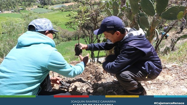 🌴 La Municipalidad Provincial de Cajamarca llevó a cabo la Novena "Cruzada Verde" en el distrito de Jesús, una iniciativa ambiental que promueve la reforestación y la conservación de los recursos naturales, involucrando a la comunidad local, autoridades y organizaciones no gubernamentales.
🌱 En esta ocasión, se realizó la siembra del árbol "taya" (o "tara"), impulsando su uso en la reforestación y la conservación ambiental, debido a los beneficios que ofrece, como la mejora de la calidad del aire, la conservación del suelo y el apoyo a la biodiversidad local.
🌳 Estas acciones son relevantes debido a los desafíos ambientales que enfrenta la región, como la deforestación y la degradación de su ecosistema, por lo que la Cruzada Verde incluye diversas iniciativas de educación, sensibilización y plantación de árboles.
🤝 Se destaca el trabajo articulado entre la Municipalidad Provincial de Cajamarca, la Municipalidad Distrital de Jesús y el grupo de voluntariado del programa ASEZ, brindando campañas de educación y sensibilización, así como incentivos a la comunidad para participar en la siembra de diferentes especies de árboles.
☘️¡Con Joaquin Ramírez, Cajamarca Renace!