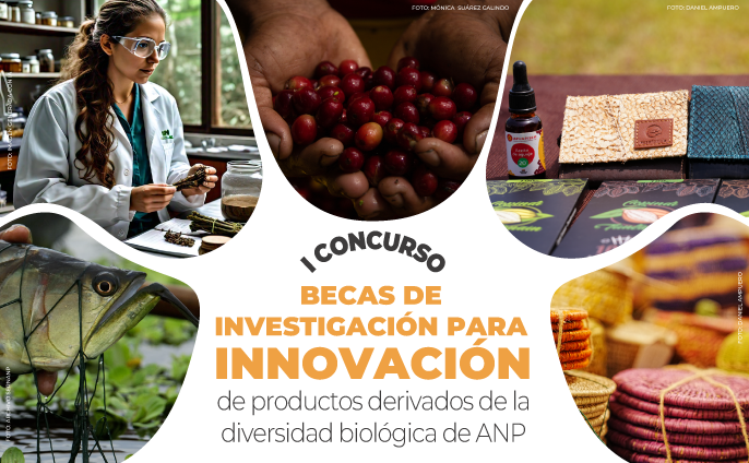 Becas innovación