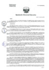 Vista preliminar de documento R.D.E. Nº207-2024-HNAL-OEA