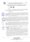 Vista preliminar de documento RESOLUCION JEFATURAL N° 333-2024-GORE-ICA-PETACC-JP