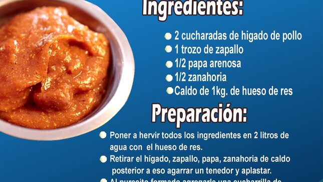 Imagen Referencial