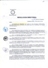 Vista preliminar de documento R.D 195-DG-24