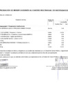 Vista preliminar de documento APROBACIÓN DE MODIFICACIONES DEL CUADRO MULTIANUAL DE NECESIDADES 2024 ANEXO N.º 06 DEL 178 al 181