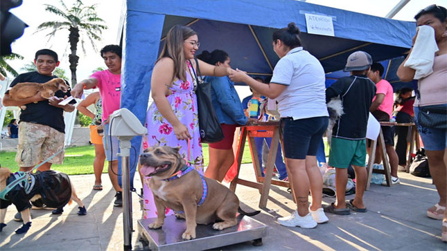 CAMPAÑA VETERINARIA