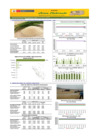 Vista preliminar de documento Boletín de abastecimiento y precio del ARROZ - 04/11/2024