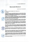 Vista preliminar de documento RD Nº 248-2024-DGINSM-HD-HN