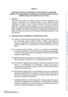 Vista preliminar de documento Anexo 1 integrado - RPE FAG PUNCHE