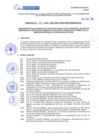 Vista preliminar de documento DIRECTIVA 015