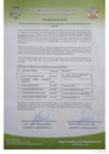 Vista preliminar de documento Resultados CAS NRO. 06