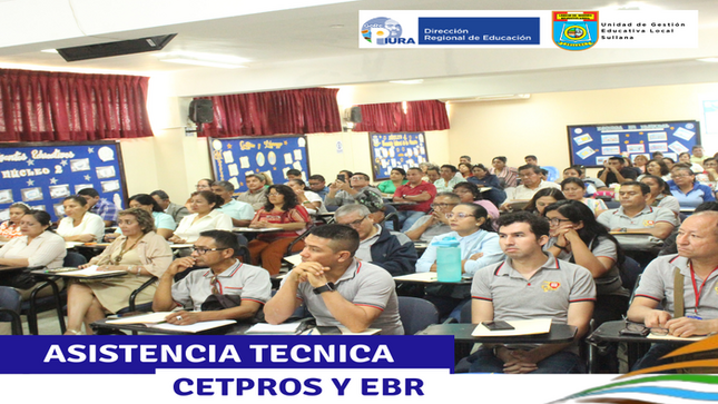 asistencia tecnica