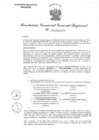 Vista preliminar de documento RGGR 553-2024
