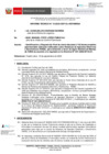 Vista preliminar de documento INFORME N°15