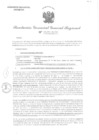Vista preliminar de documento RGGR 555-2024
