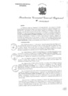 Vista preliminar de documento RGGR 556-2024