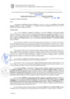 Vista preliminar de documento RG. 000842-2024-GSATDE.