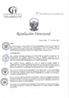 Vista preliminar de documento RD N°347-10-2024-DE-HCLLH-MINSA