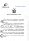 Vista preliminar de documento RD N°349-10-2024-DE-HCLLH-MINSA