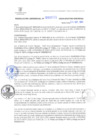 Vista preliminar de documento RG. 000855-2024-GSATDE.