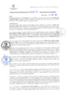 Vista preliminar de documento RG. 000858-2024-GSATDE.