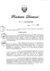 Vista preliminar de documento RD N° 323-2024