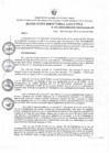 Vista preliminar de documento RDE Nº  155-2024-APROBACION DE COMPRA DIRECTA DE GUANO DE ISLA-PYT PALILLO