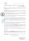 Vista preliminar de documento RG. 000861-2024-GSATDE.