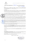 Vista preliminar de documento RG. 000863-2024-GSATDE.