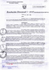 Vista preliminar de documento RD N°0117