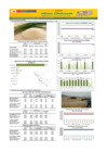 Vista preliminar de documento Boletín de abastecimiento y precio del ARROZ - 05/11/2024