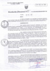 Vista preliminar de documento RD N°0115