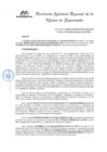 Vista preliminar de documento RJ ORSLIP 101-2024