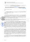 Vista preliminar de documento RG. 000882-2024-GSATDE.
