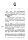 Vista preliminar de documento RDE-093-2024-PROCIENCIA-DE
