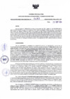 Vista preliminar de documento RDR N° 493-2024-23-09-2024