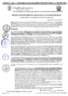 Vista preliminar de documento RGM 1275-2024