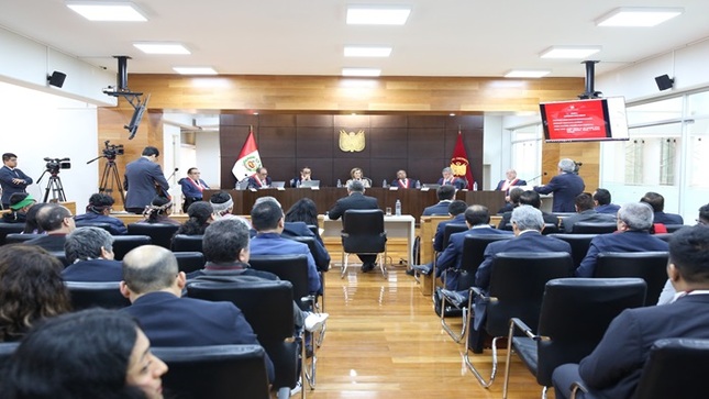 TC sesionó en audiencia y dejó al voto cinco procesos de inconstitucionalidad entre ellos los casos de formalización minera y ley forestal y de fauna silvestre