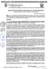 Vista preliminar de documento RGM 1291-2024