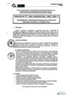 Vista preliminar de documento DIRECTIVA N°013-2024-DREP